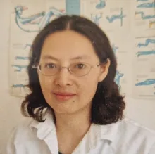 Hong Zheng