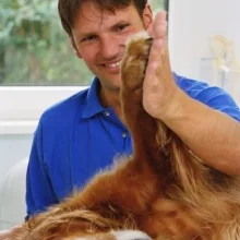 Matthias Müller
