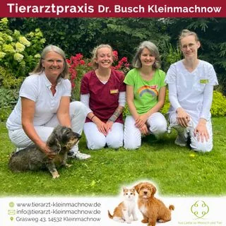 Dr. med. vet. Ute Busch